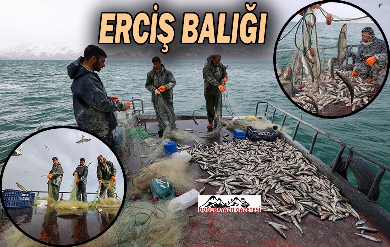 YAĞIŞLARIN DEBİLERİNİ YÜKSELTTİĞİ AKARSULAR, İNCİ KEFALİNİN GÖÇÜNÜ KOLAYLAŞTIRACAK
