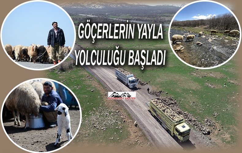 YAYLALARDA ÖMÜRLERİ HAYVANLARININ PEŞİNDE GEÇEN GÖÇERLERİ AĞIRLIYOR