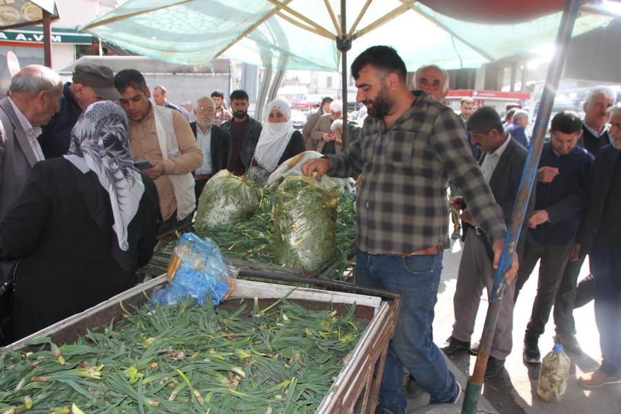 DAĞDAN TOPLADIKLARI BİTKİLERİ SATARAK GEÇİMLERİNİ SAĞLIYORLAR