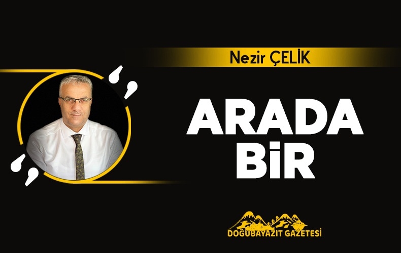 ELEŞTİRİ DE ARTIK PARA ETMİYOR