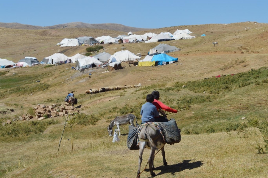 GÖÇERLERİN YAYLA MESAİSİ BAŞLADI