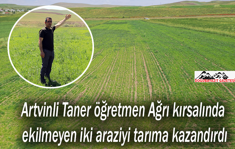 ARTVİNLİ TANER ÖĞRETMEN AĞRI KIRSALINDA EKİLMEYEN İKİ ARAZİYİ TARIMA KAZANDIRDI