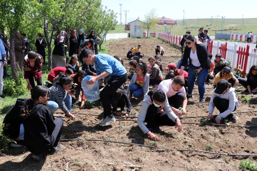  AĞRI