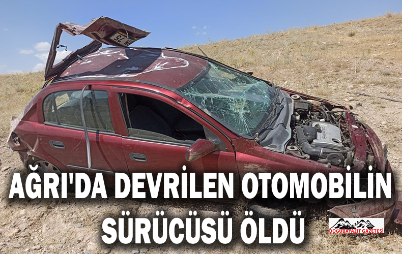 Taşlıçay da devrilen otomobilin sürücüsü hayatını kaybetti.