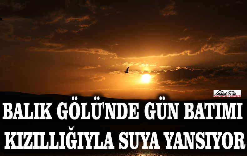  TÜRKİYE
