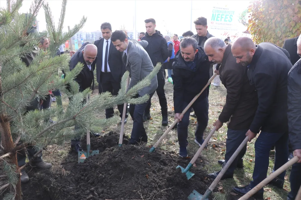 AĞAÇLANDIRMA GÜNÜ