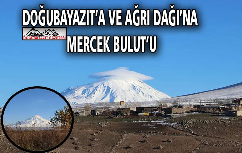 AĞRI DAĞI