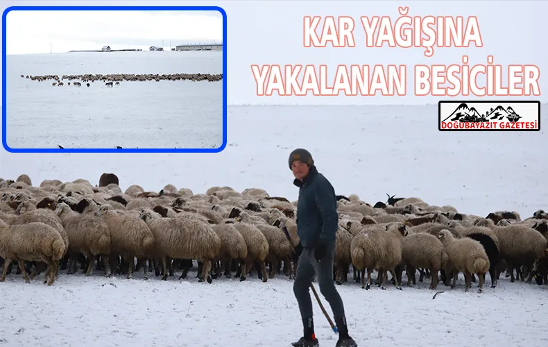 MERADA KAR YAĞIŞINA YAKALANAN BESİCİLER ZOR ANLAR YAŞADI