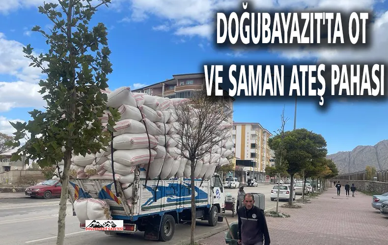 SAMANDA KİLO DÖNEMİ