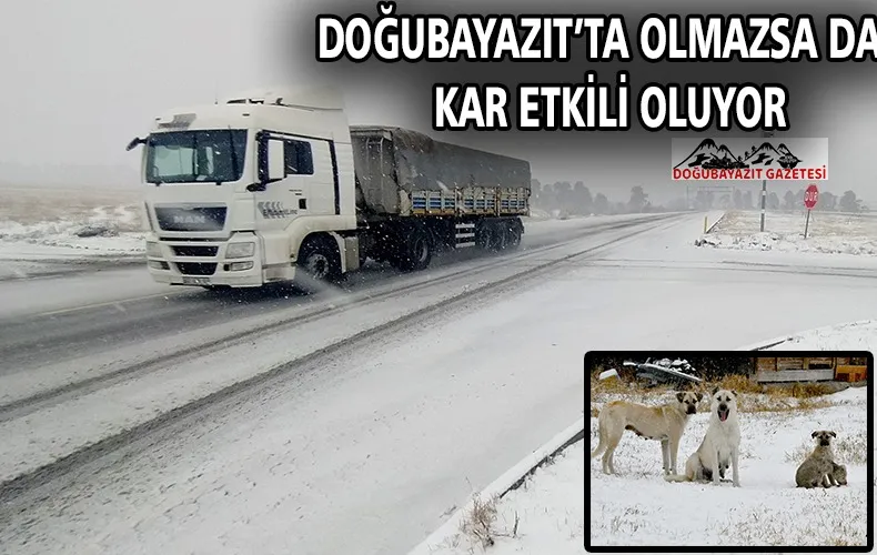 SOĞUK HAVA İLE KAR ETKİSİNİ GÖSTERİYOR.