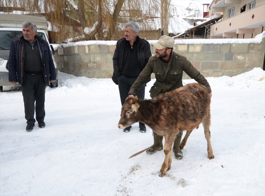 HAYVANINI SATIP GELİRİNİ DEPREMZEDELERE BAĞIŞLADI