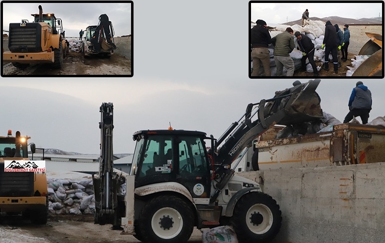 DOĞUBAYAZIT’TA BESİCİLERDEN DEPREM BÖLGESİNDEKİ HAYVANLAR İÇİN MISIR SİLAJI YARDIMI