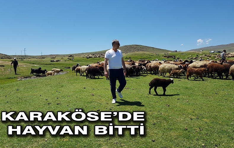 BU NASIL İZAH EDİLECEK?