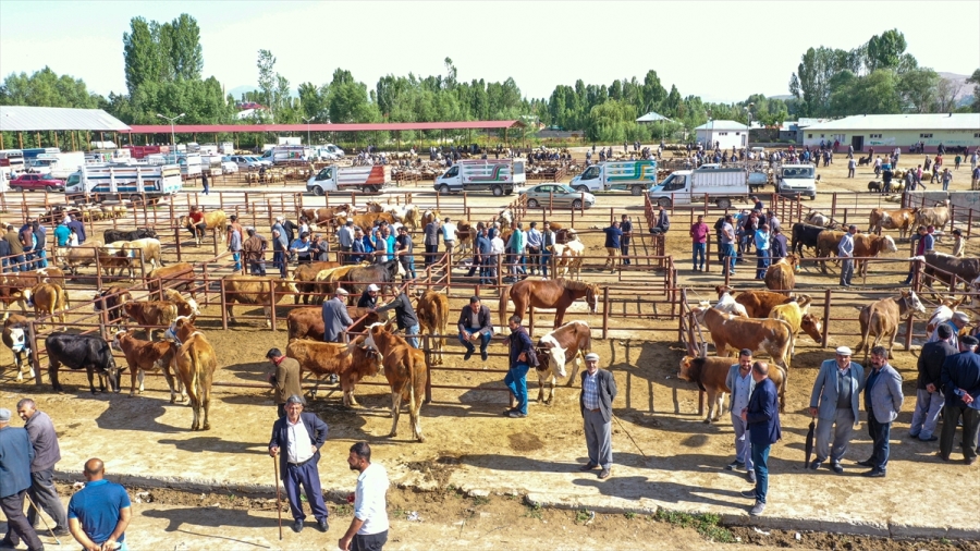 BATIDAKİ İLLERE KURBANLIK SEVKİYATI DEVAM EDİYOR