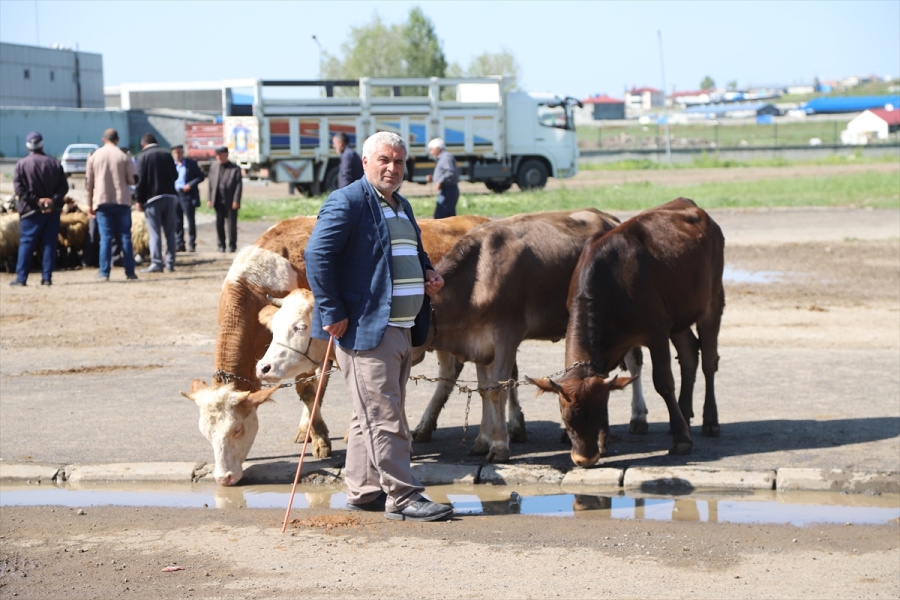 CANLI HAYVAN PAZARINDA KURBAN HAREKETLİLİĞİ