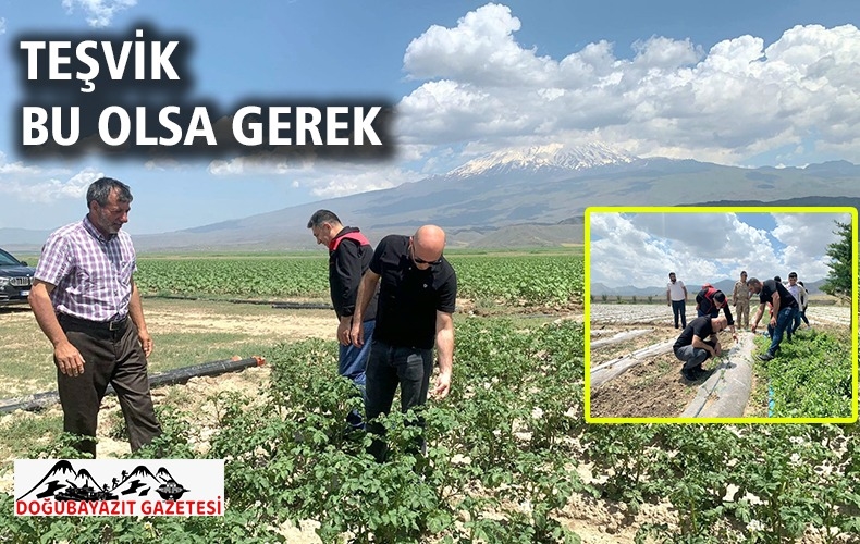 KAYMAKAM MURAT EKİNCİ, KÖYLERDE TARIM İLE İLGİLENİYOR