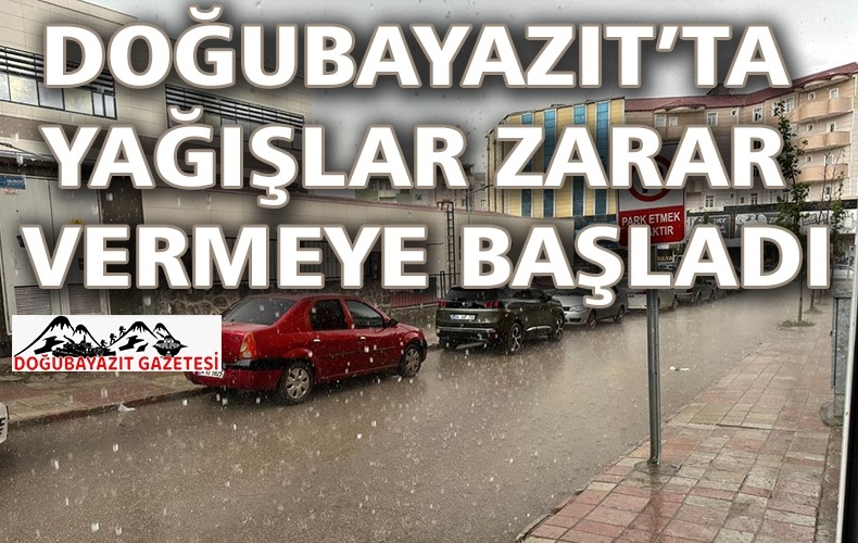 SEL VE SORUMSUZLUK