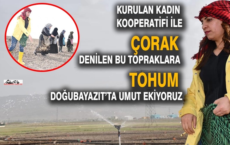 BELEDİYECE KURULAN KOOPERATİF 