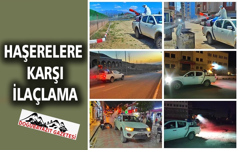 GECİKMELİ DE OLSA İLAÇLAMA ÇALIŞMASI BAŞLADI