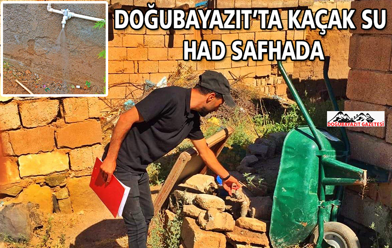 NEREYE KADAR