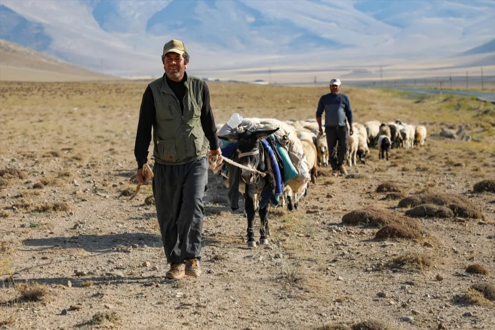 YAYLA DÖNÜŞÜ SUSUZLUKTAN BİTKİN DÜŞEN KOYUNLARA TANKERLERLE SU TAŞINDI