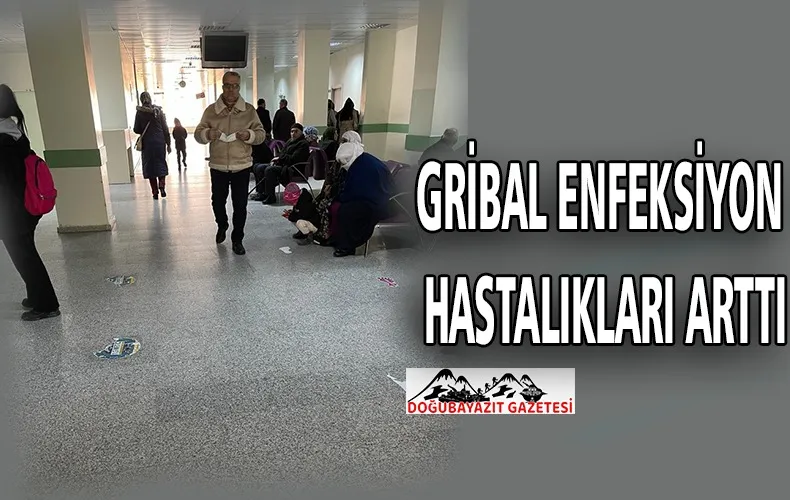 HASTANELERDE YOĞUNLUĞA NEDEN OLAN GRİP VAKALARI