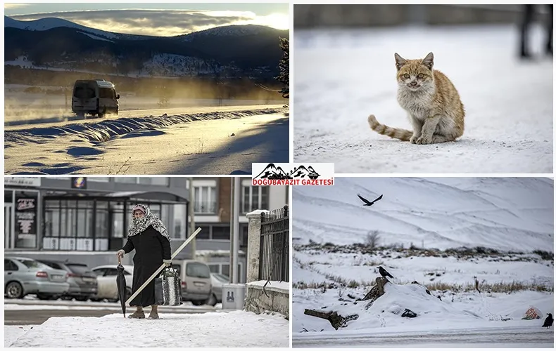 KARAKIŞ VE YAŞAM