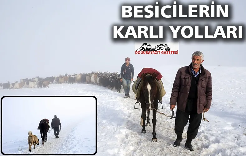 BESİCİLER, DEPOLADIKLARI YEMİN BİTMESİ ÜZERİNE KÜÇÜKBAŞ HAYVANLARINI KÖYLERİNE GETİRDİ.