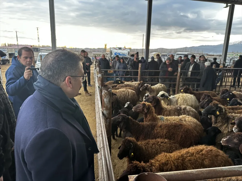 BİR AYDIR ŞAP KARANTİNASINDA OLAN HAYVAN BORSASI YENİDEN AÇILDI