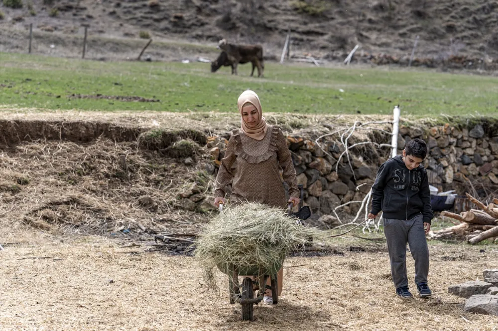 GURBETTEN KÖYÜNE DÖNEN KADIN DEVLET DESTEĞİYLE SÜRÜ SAHİBİ OLDU