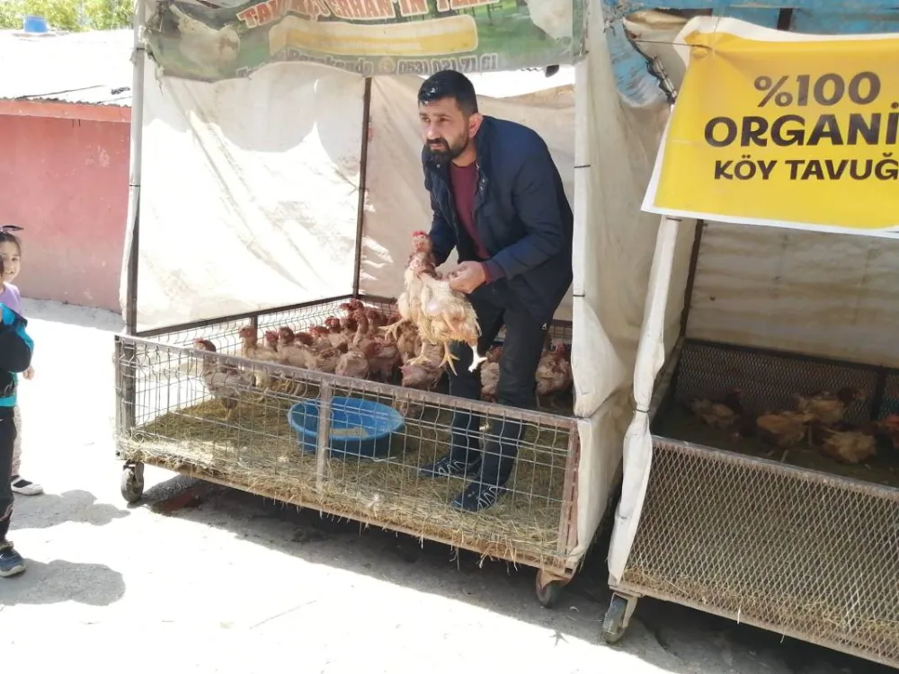 AĞRI