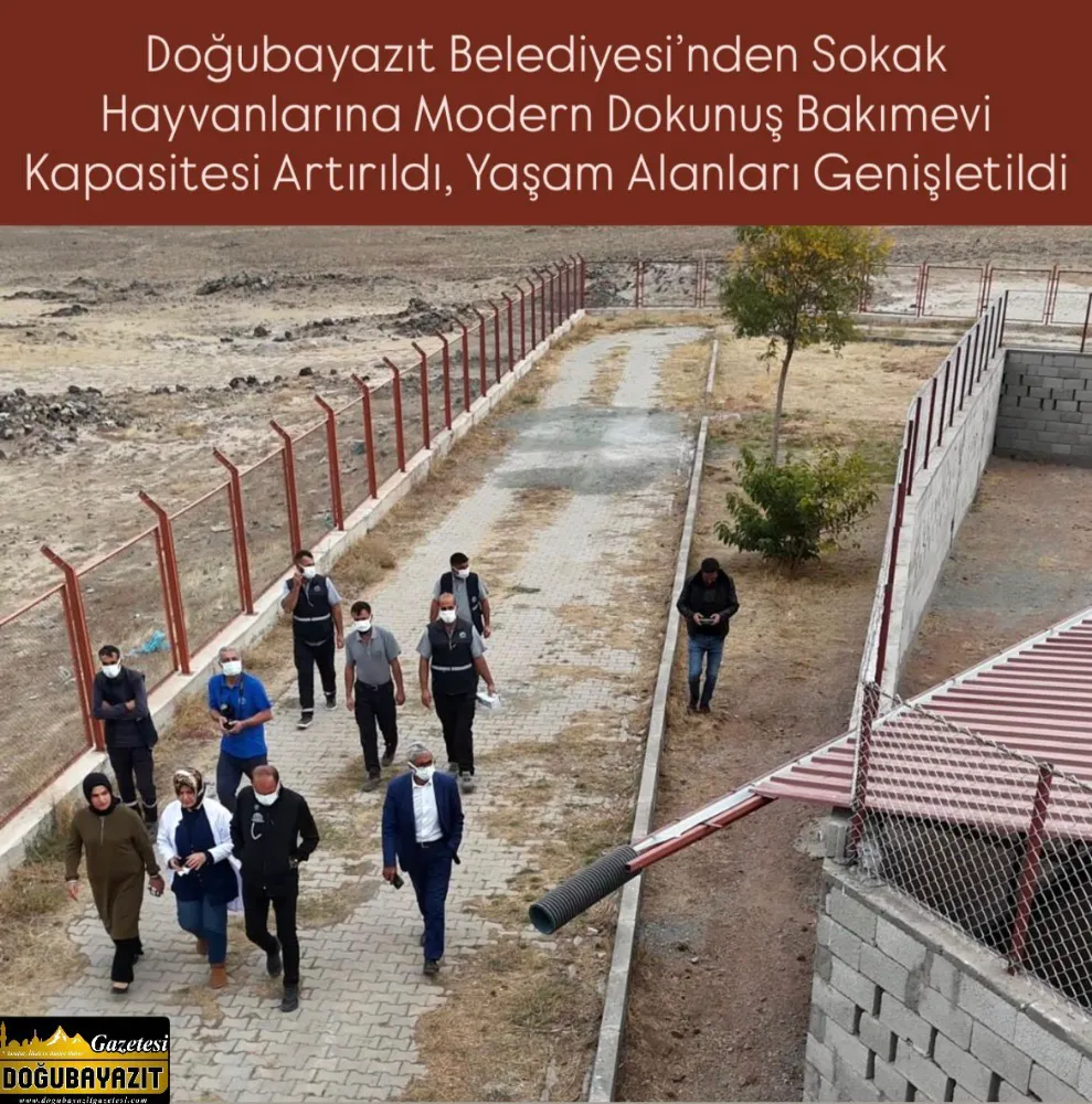 Doğubayazıt Belediyesi’nden Sokak Hayvanlarına Modern Dokunuş Bakımevi Kapasitesi Artırıldı, Yaşam Alanları Genişletildi