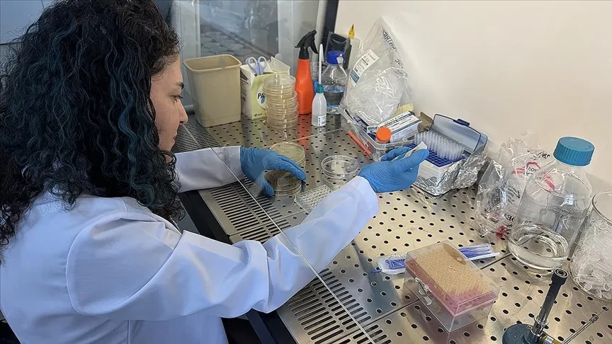 Bor kullanılarak geliştirilecek yara örtüsü diyabetik yaraların daha hızlı iyileşmesini sağlayacak