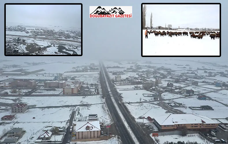 AĞRI