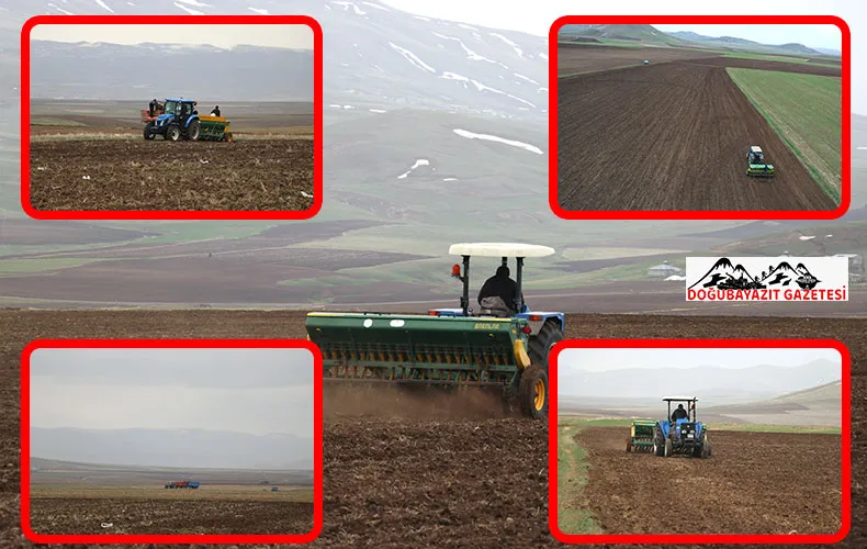 AĞRI