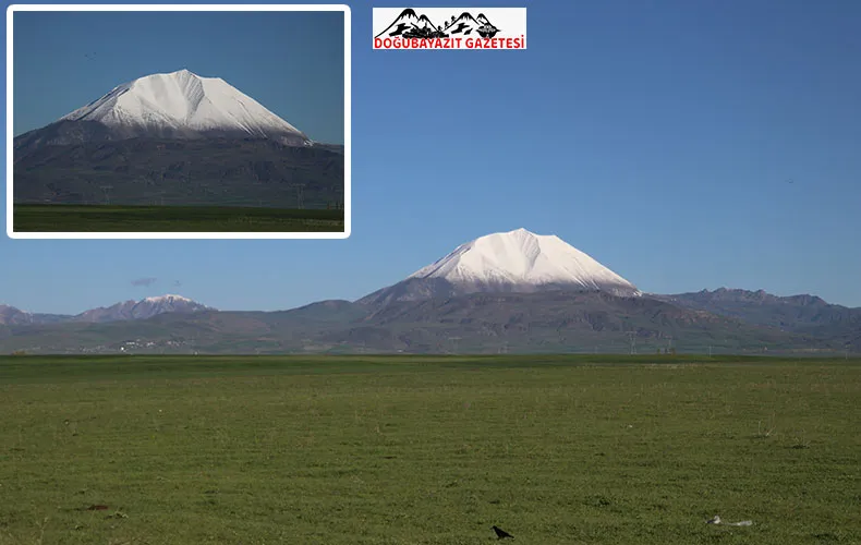 AĞRI