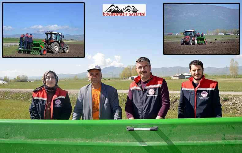 AĞRI