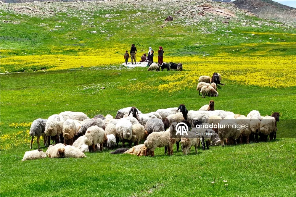 Havanın ısınmasıyla Van
