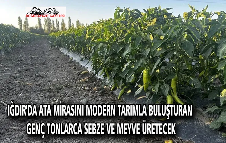 Iğdır