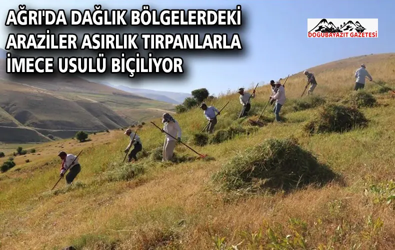 Ağrı