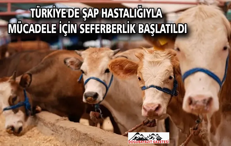 Türkiye