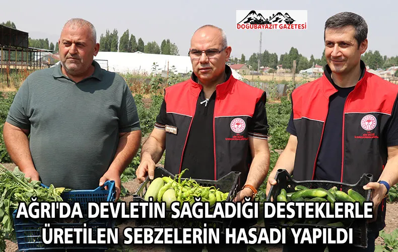 AĞRI