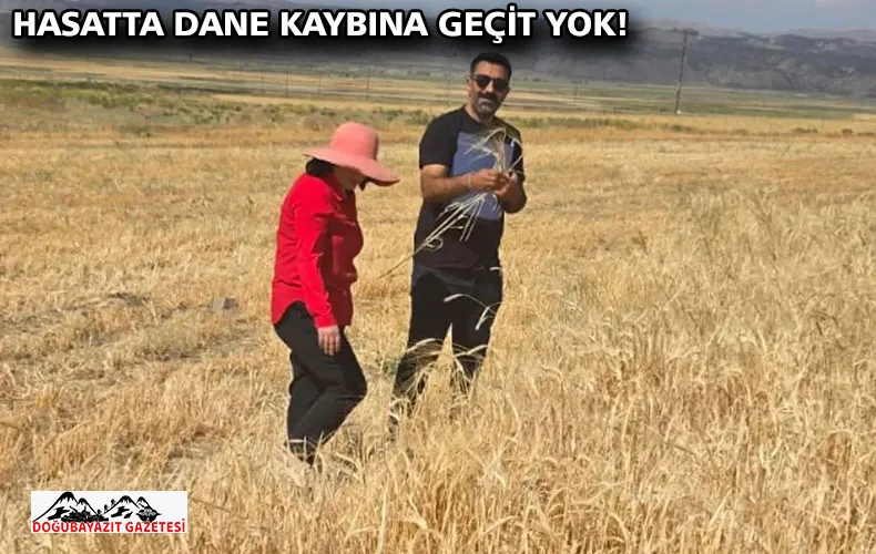 HASATTA DANE KAYBINA GEÇİT YOK!