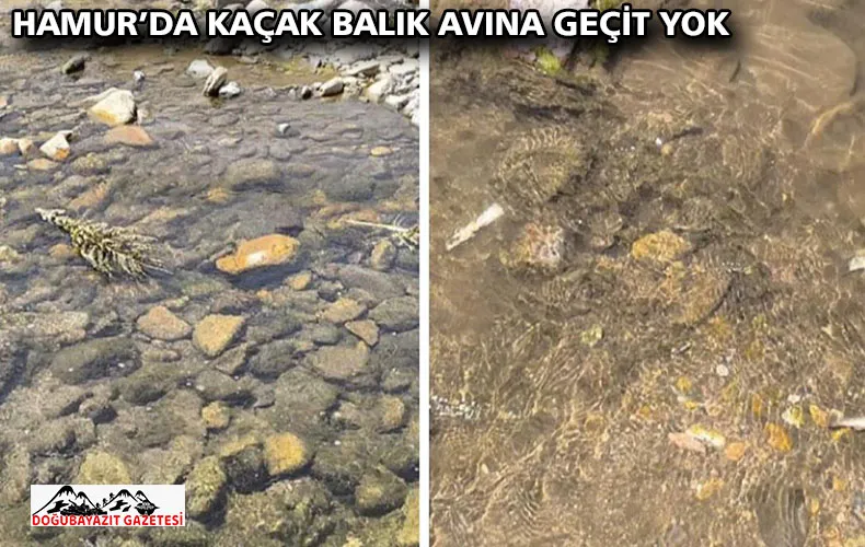 HAMUR’DA KAÇAK BALIK AVINA GEÇİT YOK