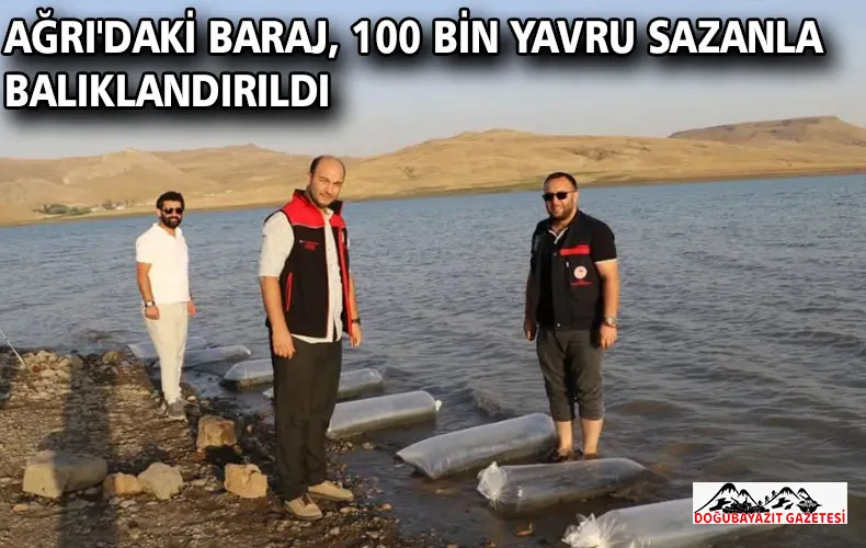 Ağrı