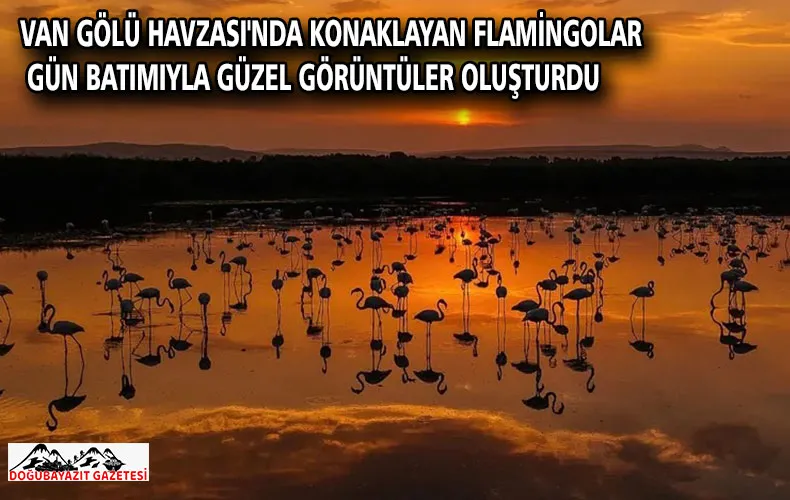 Van Gölü Havzası