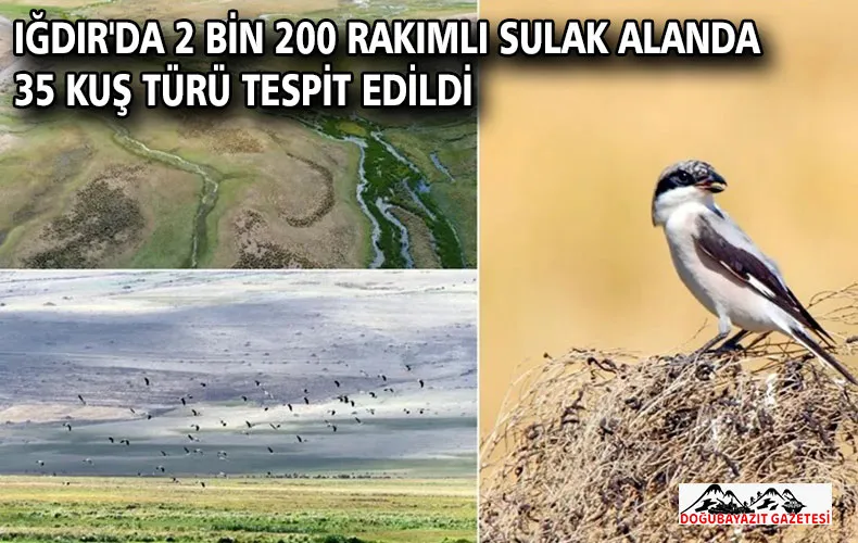 Iğdır