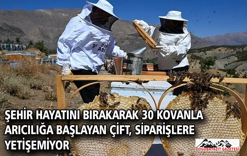 Şehir hayatını bırakarak 30 kovanla arıcılığa başlayan çift, siparişlere yetişemiyor