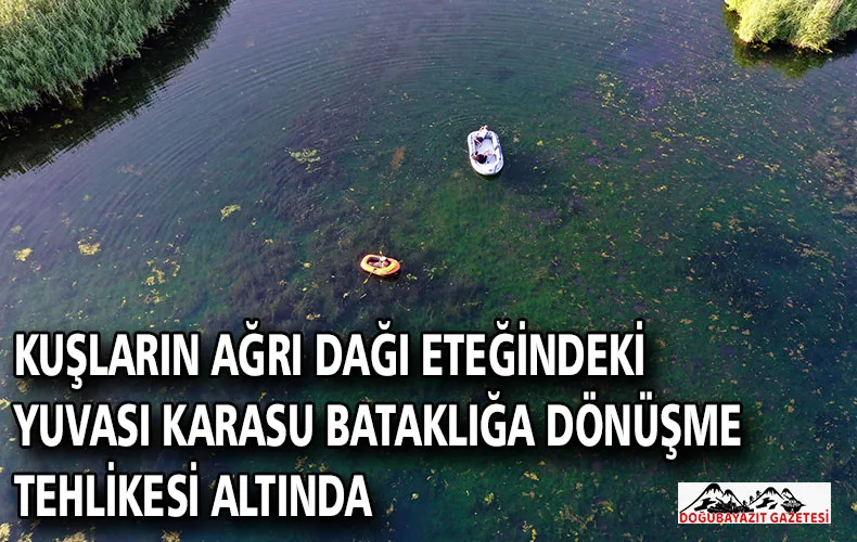 KUŞLARIN AĞRI DAĞI ETEĞİNDEKİ YUVASI KARASU BATAKLIĞA DÖNÜŞME TEHLİKESİ ALTINDA