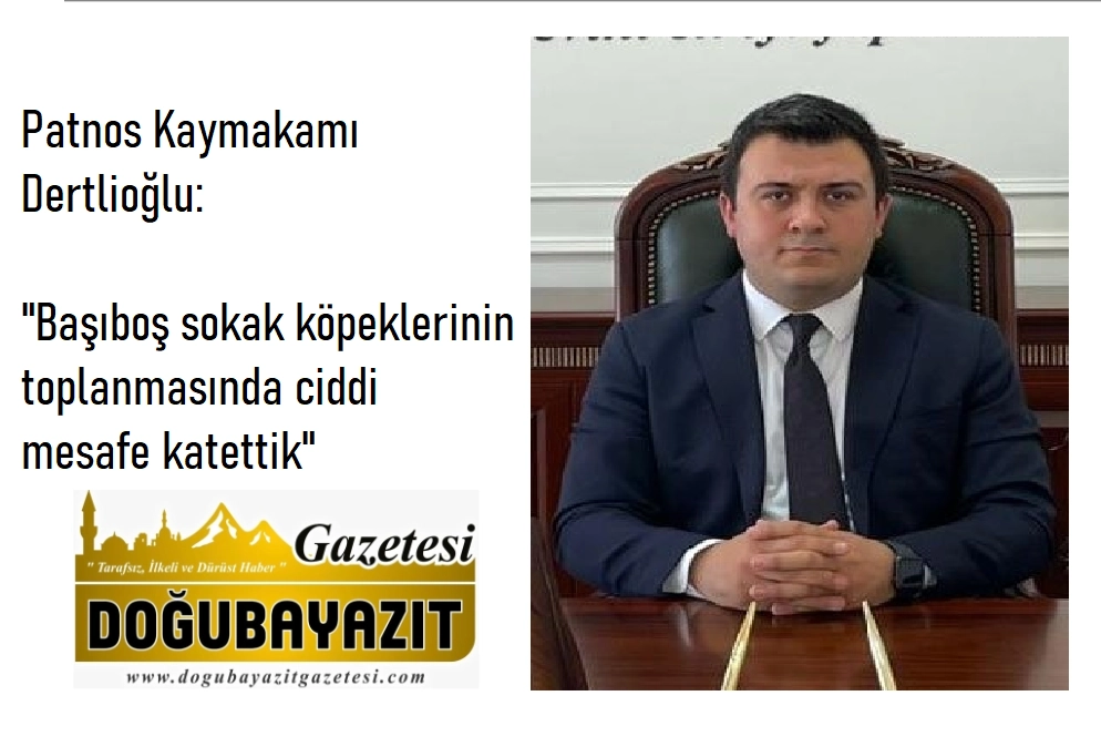 Patnos Kaymakamı Dertlioğlu: "Başıboş sokak köpeklerinin toplanmasında ciddi mesafe katettik"